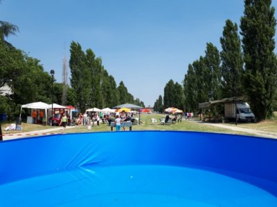 La Festa